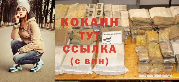 крисы Новозыбков