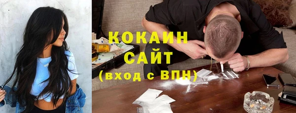 твердый Алексеевка