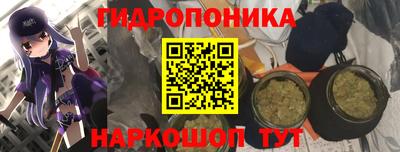 a pvp Волжск