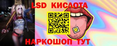 a pvp Волжск