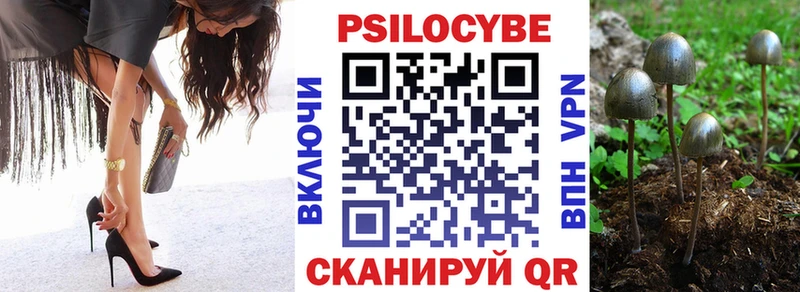 Псилоцибиновые грибы Psilocybe как найти наркотики Нижний Тагил