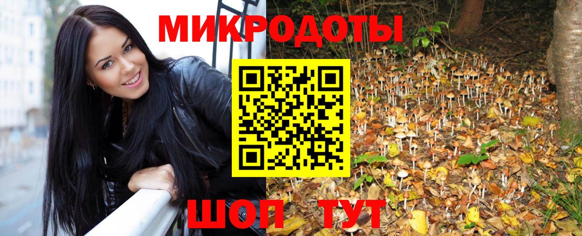 Псилоцибиновые грибы Psilocybe Нижний Тагил